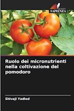 Ruolo dei micronutrienti nella coltivazione del pomodoro