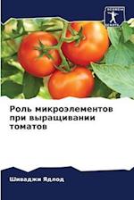 Rol' mikroälementow pri wyraschiwanii tomatow