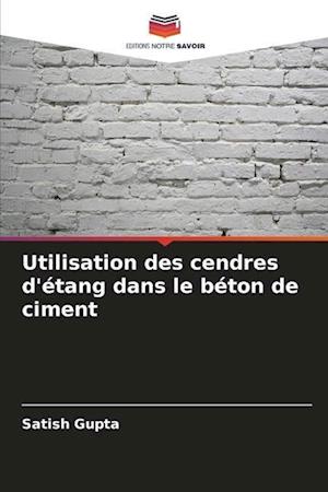 Utilisation des cendres d'étang dans le béton de ciment