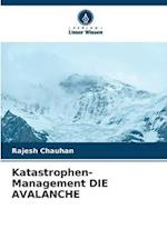 Katastrophen-Management DIE AVALANCHE