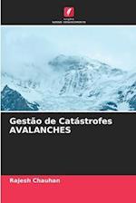 Gestão de Catástrofes AVALANCHES