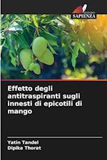 Effetto degli antitraspiranti sugli innesti di epicotili di mango