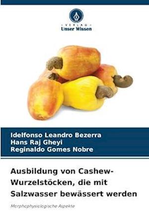 Ausbildung von Cashew-Wurzelstöcken, die mit Salzwasser bewässert werden