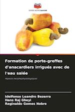 Formation de porte-greffes d'anacardiers irrigués avec de l'eau salée