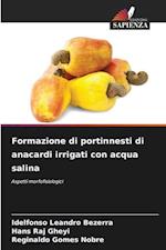 Formazione di portinnesti di anacardi irrigati con acqua salina