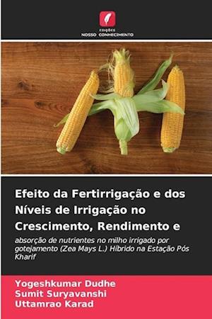 Efeito da Fertirrigação e dos Níveis de Irrigação no Crescimento, Rendimento e