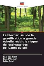 Le biochar issu de la gazéification à grande échelle réduit le risque de lessivage des polluants du sol