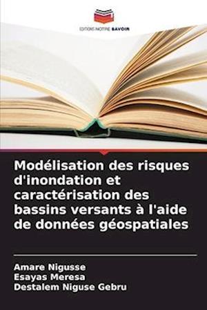 Modélisation des risques d'inondation et caractérisation des bassins versants à l'aide de données géospatiales