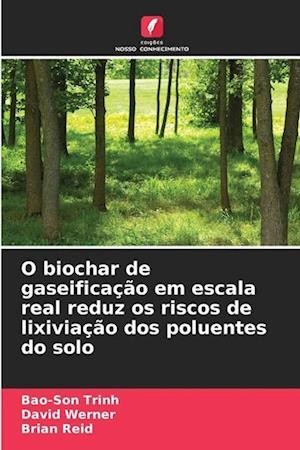 O biochar de gaseificação em escala real reduz os riscos de lixiviação dos poluentes do solo