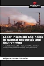 Labor Insertion: Engineers in Natural Resources and Environment