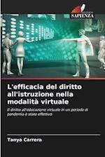 L'efficacia del diritto all'istruzione nella modalità virtuale