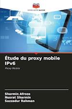 Étude du proxy mobile IPv6