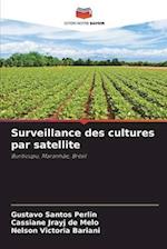 Surveillance des cultures par satellite