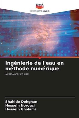 Ingénierie de l'eau en méthode numérique