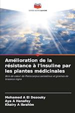 Amélioration de la résistance à l'insuline par les plantes médicinales