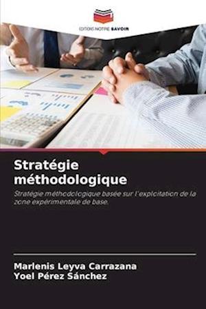 Stratégie méthodologique