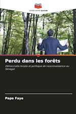 Perdu dans les forêts