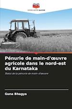 Pénurie de main-d'¿uvre agricole dans le nord-est du Karnataka