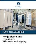 Konjugierte und transiente Wärmeübertragung