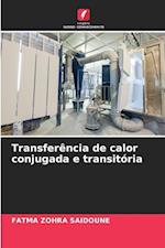 Transferência de calor conjugada e transitória