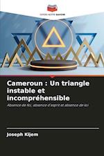 Cameroun : Un triangle instable et incompréhensible