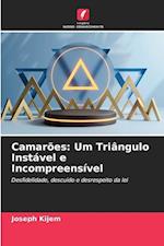 Camarões: Um Triângulo Instável e Incompreensível