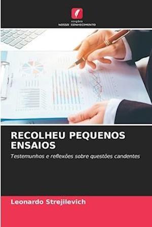 RECOLHEU PEQUENOS ENSAIOS