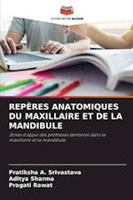 REPÈRES ANATOMIQUES DU MAXILLAIRE ET DE LA MANDIBULE