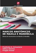 MARCOS ANATÓMICOS DE MAXILA E MANDÍBULA