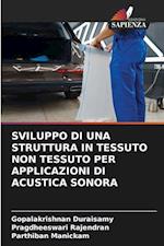 SVILUPPO DI UNA STRUTTURA IN TESSUTO NON TESSUTO PER APPLICAZIONI DI ACUSTICA SONORA