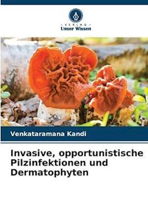 Invasive, opportunistische Pilzinfektionen und Dermatophyten