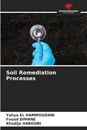 Soil Remediation Processes