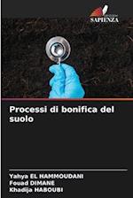 Processi di bonifica del suolo