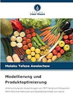 Modellierung und Produktoptimierung