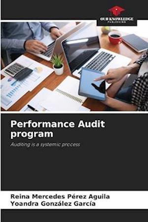 Performance Audit program