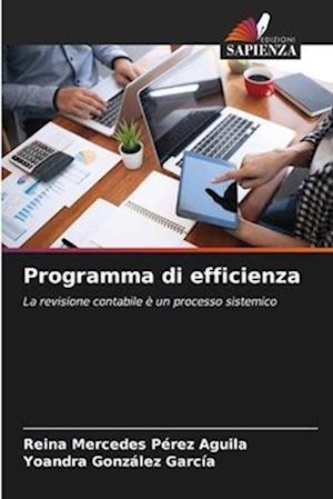 Programma di efficienza