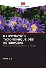 ILLUSTRATION TAXONOMIQUE DES ASTERACEAE