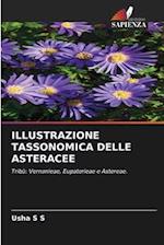 ILLUSTRAZIONE TASSONOMICA DELLE ASTERACEE