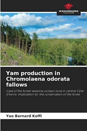 Yam production in Chromolaena odorata fallows