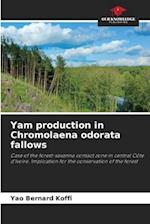 Yam production in Chromolaena odorata fallows