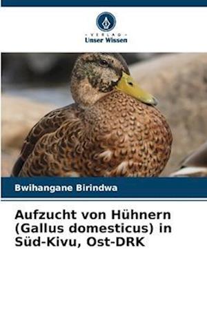 Aufzucht von Hühnern (Gallus domesticus) in Süd-Kivu, Ost-DRK