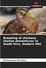 Breeding of chickens (Gallus domesticus) in South Kivu, Eastern DRC