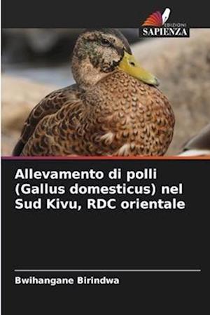 Allevamento di polli (Gallus domesticus) nel Sud Kivu, RDC orientale