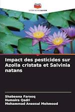 Impact des pesticides sur Azolla cristata et Salvinia natans