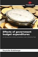 Effects of government budget expenditures