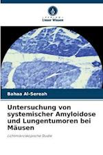 Untersuchung von systemischer Amyloidose und Lungentumoren bei Mäusen