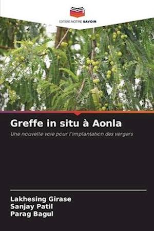 Greffe in situ à Aonla