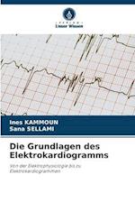 Die Grundlagen des Elektrokardiogramms
