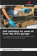 Soil pollution by used oil from the ISTA garage