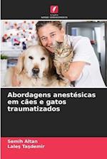 Abordagens anestésicas em cães e gatos traumatizados